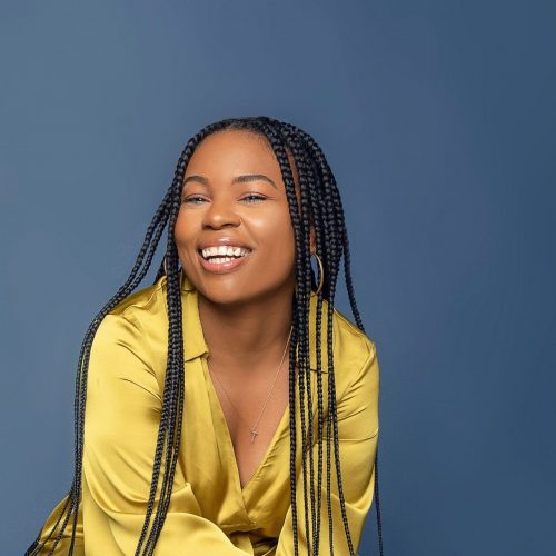 best hair extensions for box braids - new