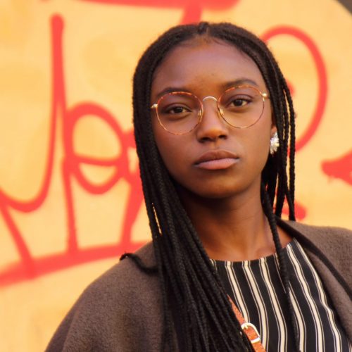 how to box braid hair with extensions for beginners