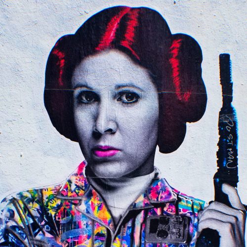 Best Princess Leia Wigs