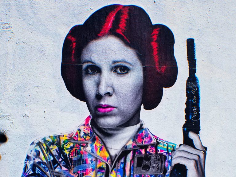 Best Princess Leia Wigs